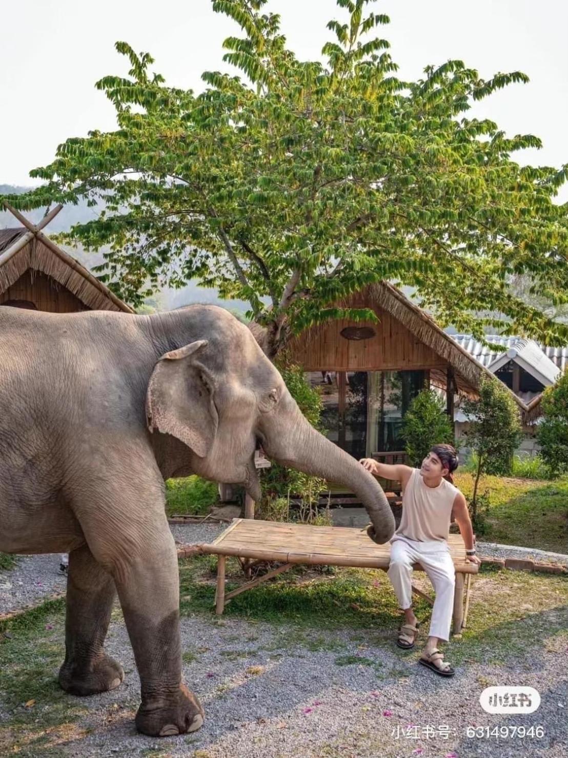 3 Pok Maewang Jinxiang Gold Elephant Park Mae Wang Exterior foto